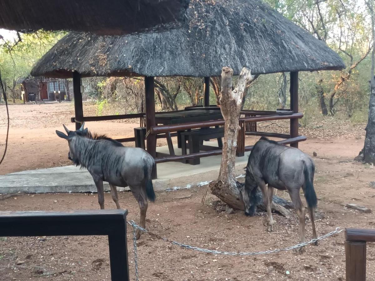 South Safari Lodge 玛洛斯帕克 外观 照片