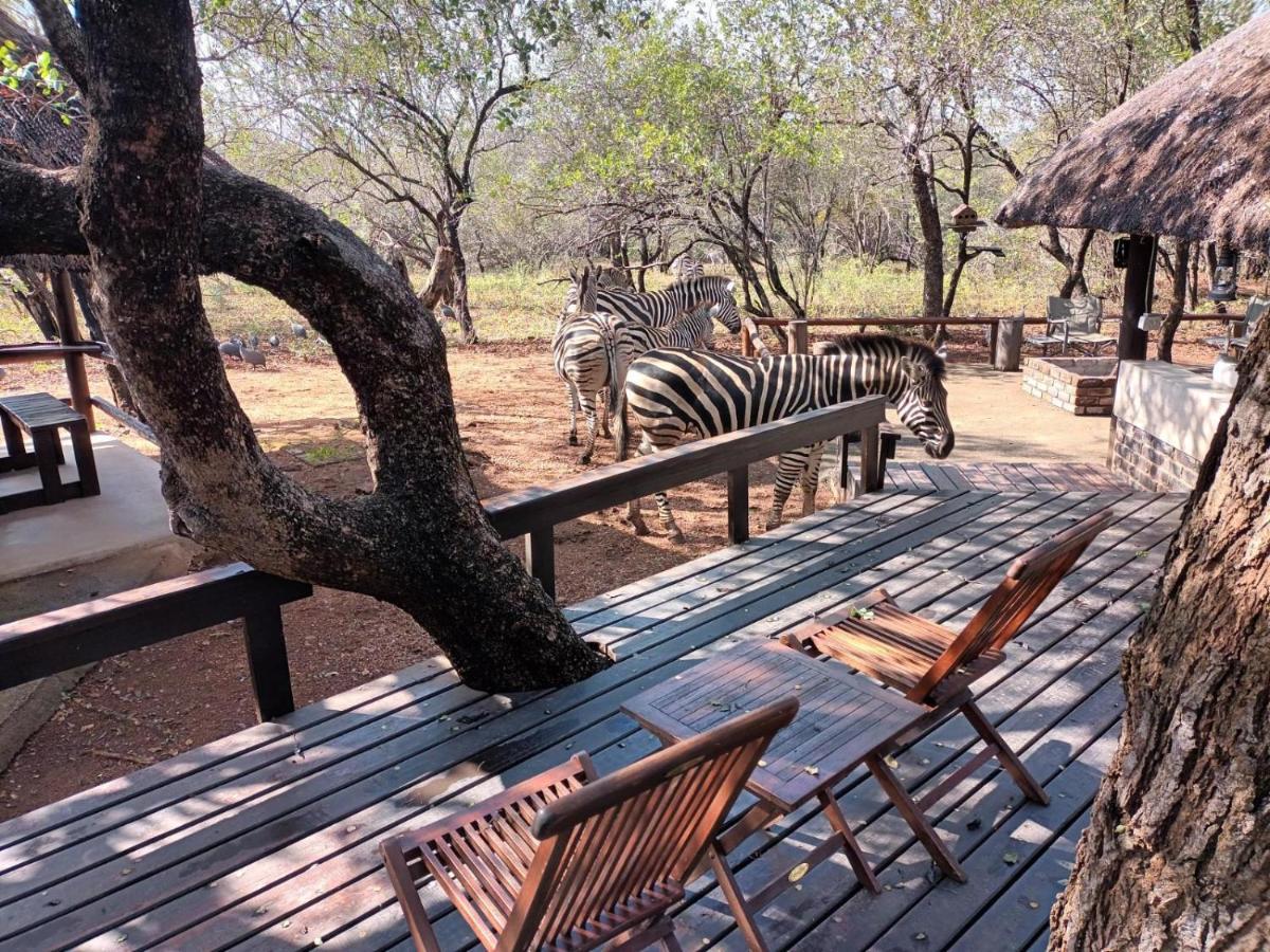 South Safari Lodge 玛洛斯帕克 外观 照片